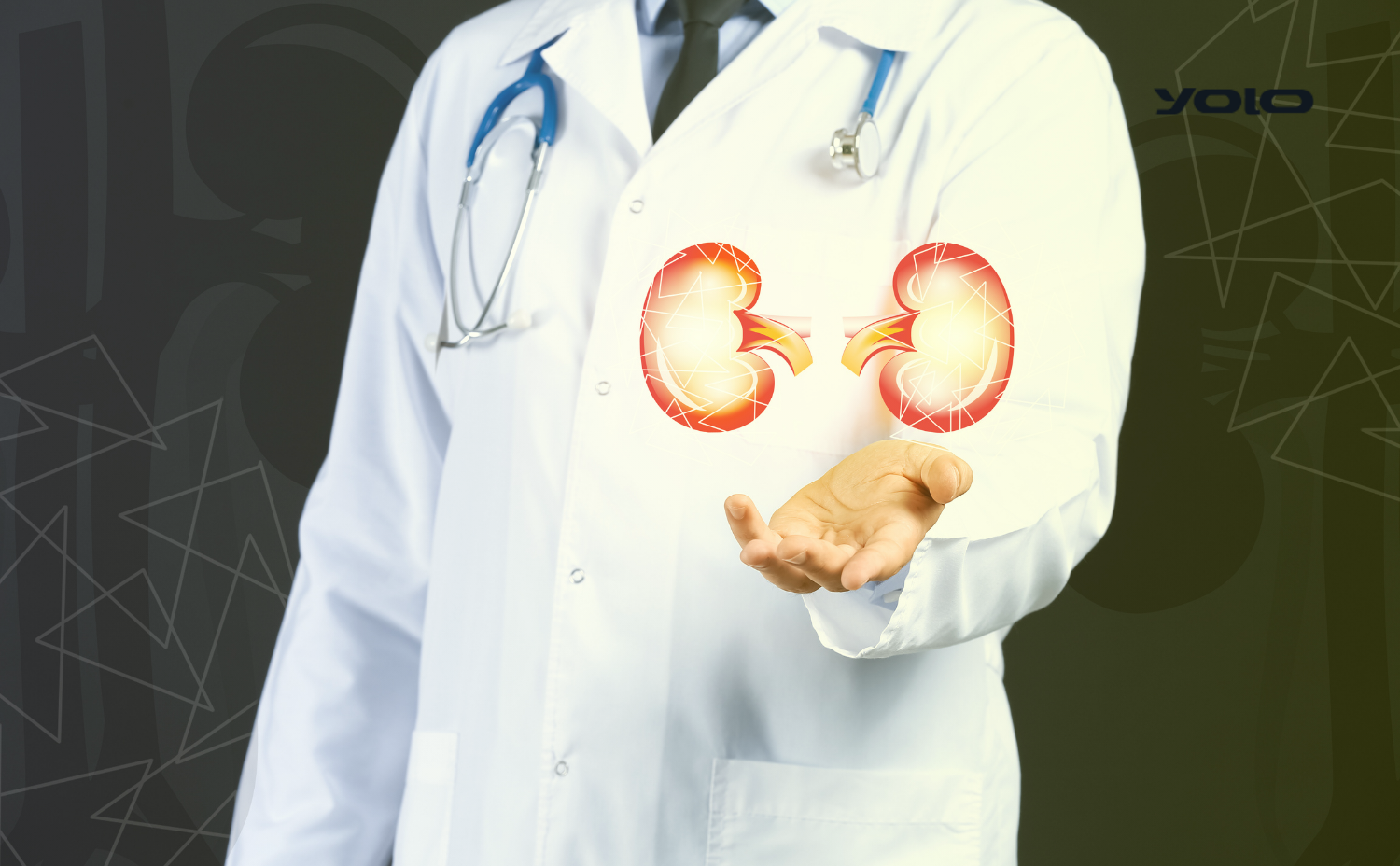 برنامج ادارة عيادات المسالك